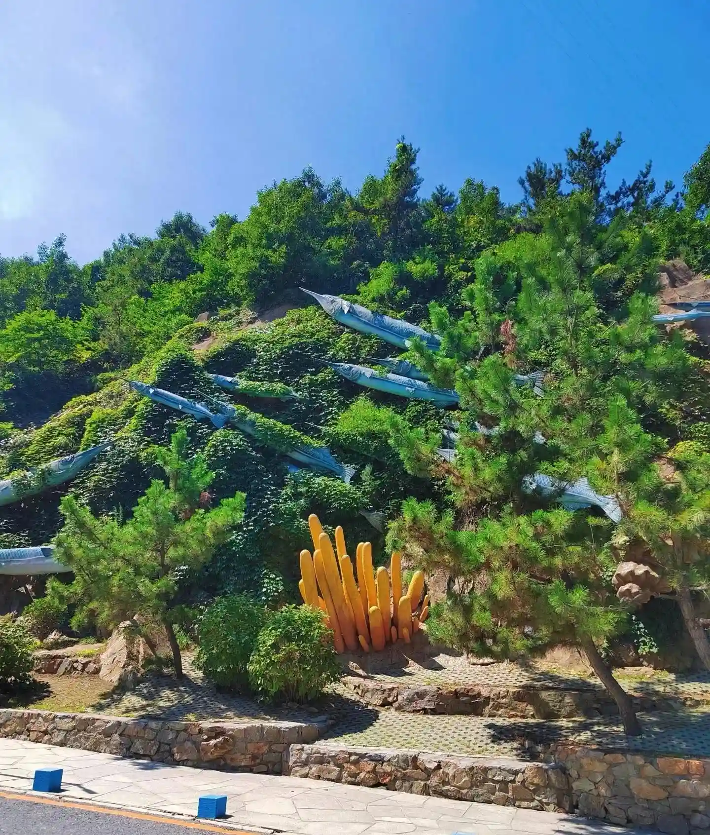 大连海之韵公园，一步一景，用脚步丈量大连的美