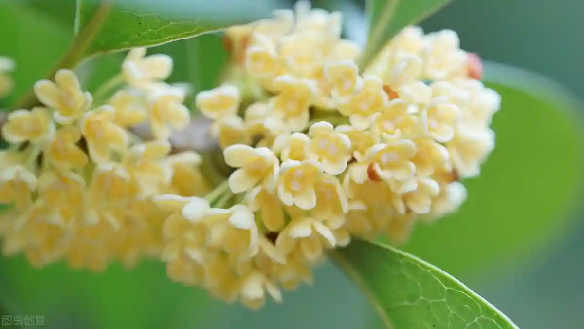 带霜烹紫蟹，煮酒烧红叶。一到蟹肥时节，古人的诗意生活就开始了